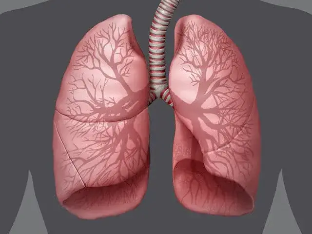 Antibiotic